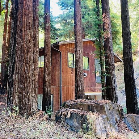 Little House In The Redwoods With A Hot Tub! Appartement Garberville Buitenkant foto