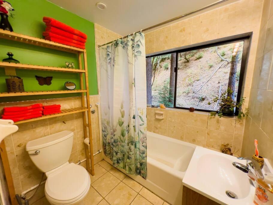 Little House In The Redwoods With A Hot Tub! Appartement Garberville Buitenkant foto