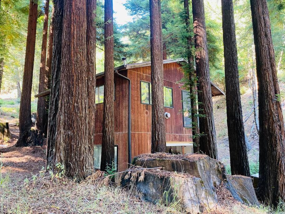 Little House In The Redwoods With A Hot Tub! Appartement Garberville Buitenkant foto